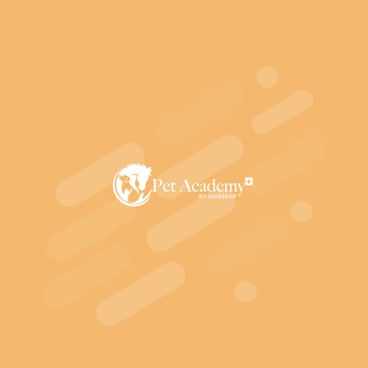 Corso Demo Pet Academy